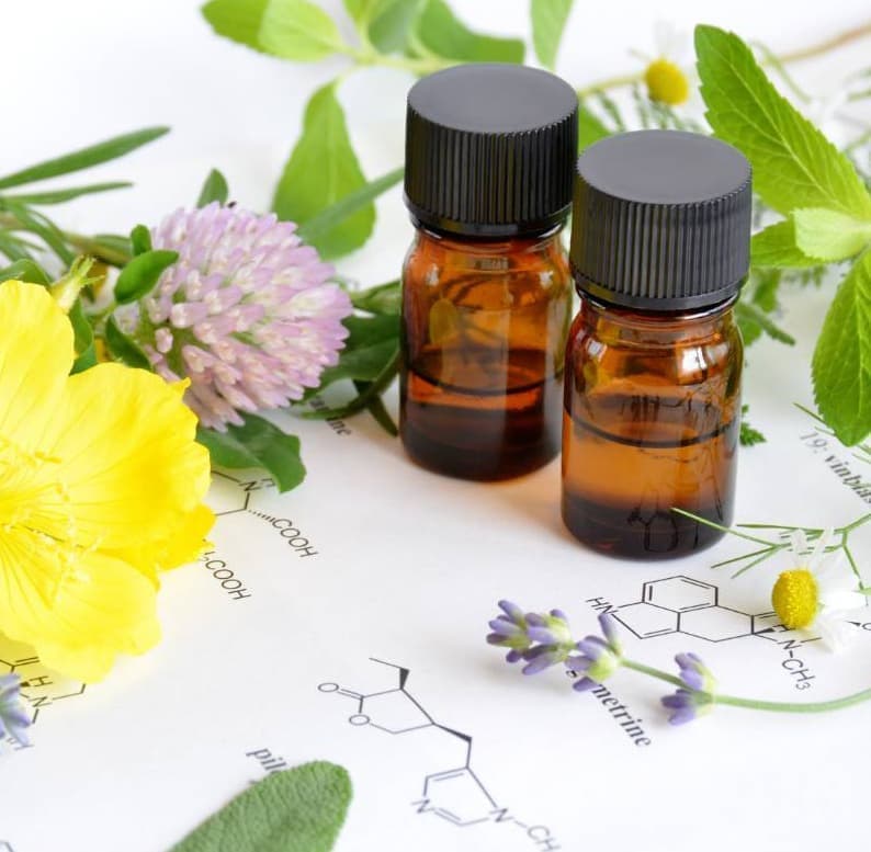 各種セルフケア講座